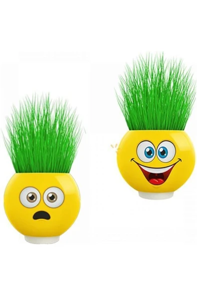 İthalat Emoji Kafa 1 adet Çılgın Çim Adam - Resim 3