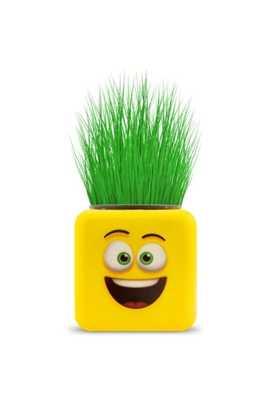 Çimoji Yeni Nesil Emoji Küp Çim Adam - 24 ' Lü ürün görseli 1