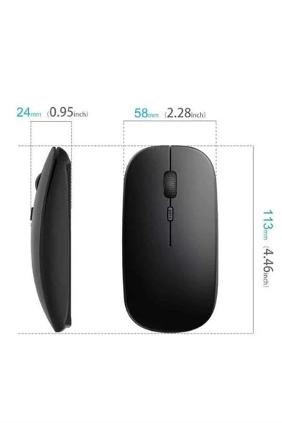 Pg-908 Mouse - Resim 3