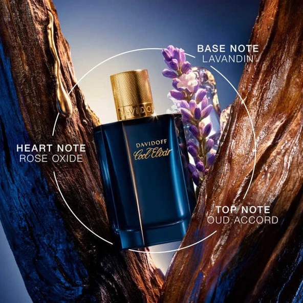 Davidoff Cool Elixir Oud Aromatique Parfum Intense 100 ml Erkek Parfüm - Resim 2