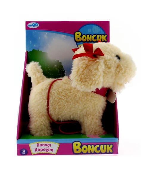 Dansçı Köpeğim Boncuk - Resim 2
