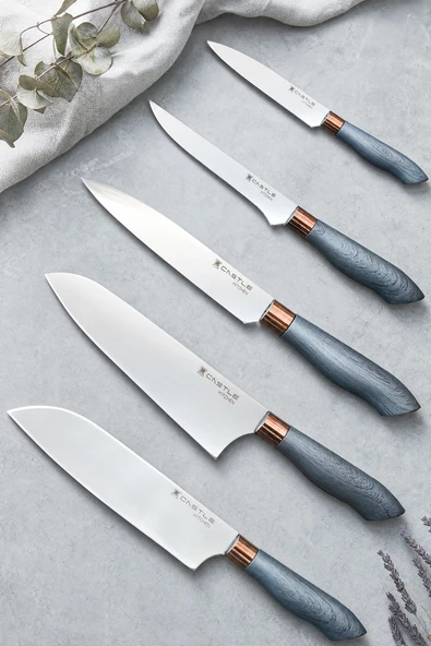 Silver Gray Serisi 5 Li Mutfak Bıçağı Et Ekmek Sebze Mutfak Şef Bıçak Seti Mft-568 ürün görseli 1