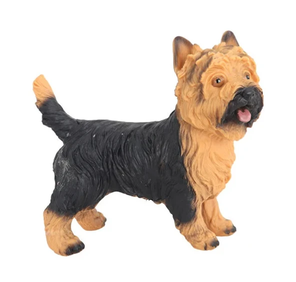 Model Köpek Sarı Siyah Yorkshire Terrier - Resim 2
