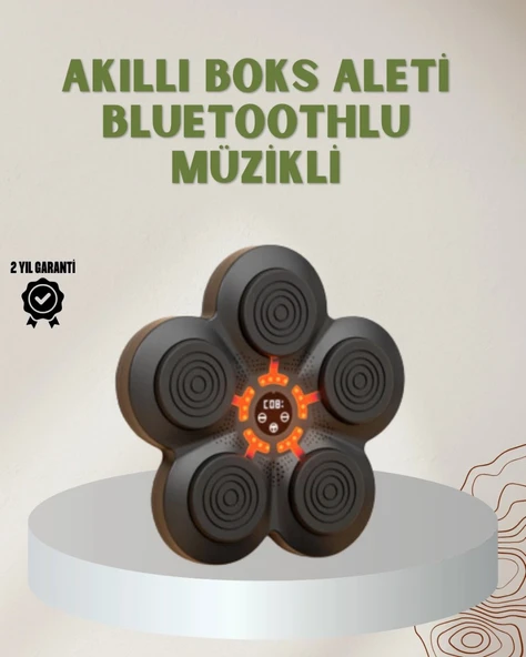 Bluetoothlu Akıllı Boks Antrenman Cihazı Işıklı Hedefli Kardiyo Ve Fitness Aleti ürün görseli 1