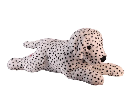 1140 90 CM DALMAÇYALI KÖPEK ürün görseli 1