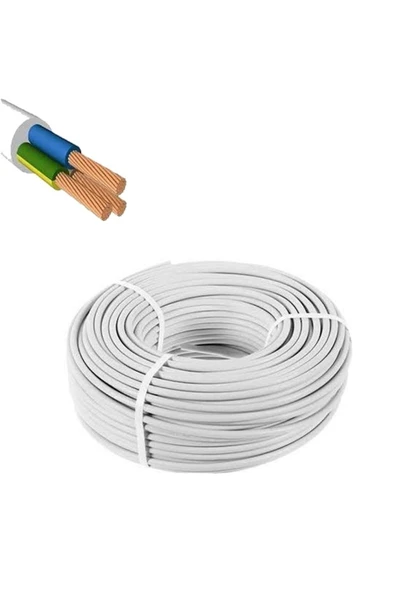 İNWATT 3x2,5 Mm Ttr Kablo Çok Damarlı Kablo 100 Metre ürün görseli 1