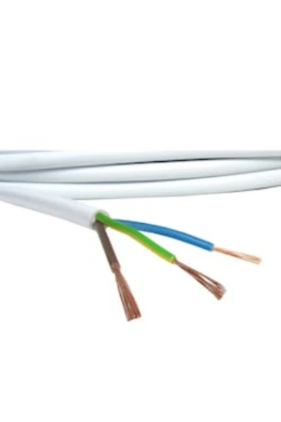 İNWATT 60 Metre 3x2.5 Mm Cca Ttr Kablo Çok Telli Seyyar Elektrik Kablosu ürün görseli 1