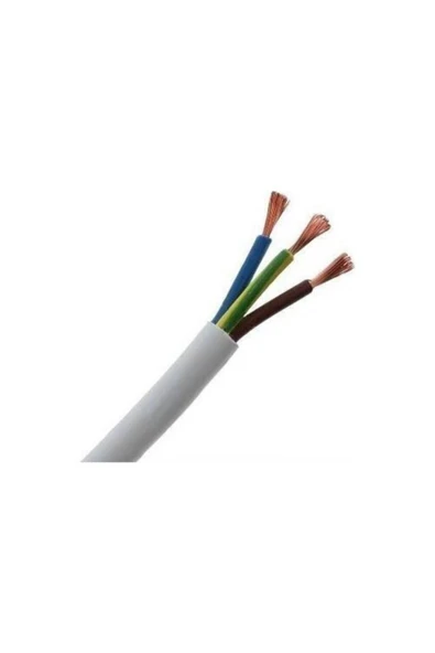 İNWATT 3x2,5 Cca Ttr Kablo Beyaz (BAKIR-ALÜMİNYUM KARIŞIMI KABLODUR.) 100 Mt Fiyatıdır. ürün görseli 1