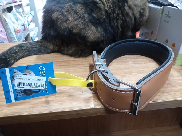 Cess Pet Köpek Deri Boyun Tasma No:3 ürün görseli 1