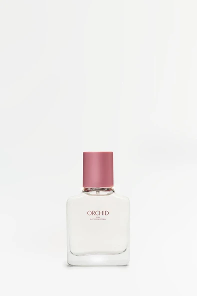 Zara Orchid Edp 30 ml Kadın Parfüm - Resim 2