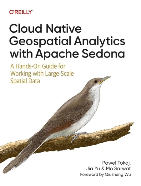 Cloud Native Geospatial Analytics with Apache Sedona: A Hands-On Guide for Working with Large-Scale Spatial Data Tokaj Jia Yu ürün görseli 1