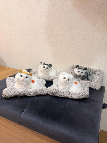 Tatlı Sebep Sesli Uyuyan Kedi Oyuncağı Miyavlayan Kedi Pelüş Uyuyan Kedi ürün görseli 1