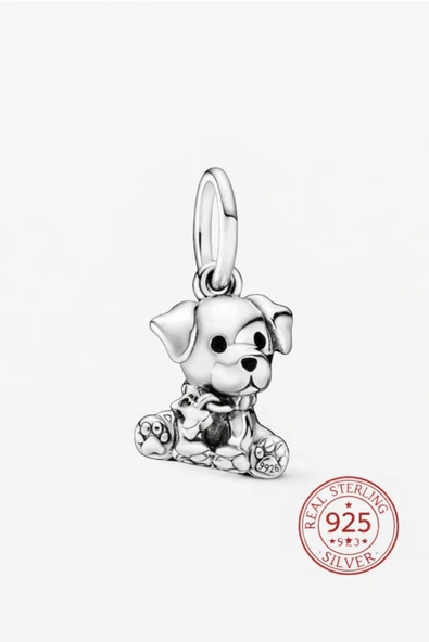 POSEİDONS JEWELLERY S925 Yavru Labrador Charm ürün görseli 1