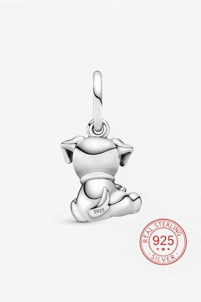 POSEİDONS JEWELLERY S925 Yavru Labrador Charm - Resim 3