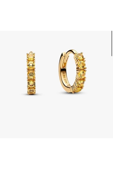 POSEİDONS JEWELLERY S925 Ayar Sarı Küçük Halka Küpeler ürün görseli 1