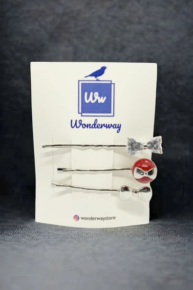 WONDERWAY Kurdele Detaylı 3'lü Tel Toka ürün görseli 1