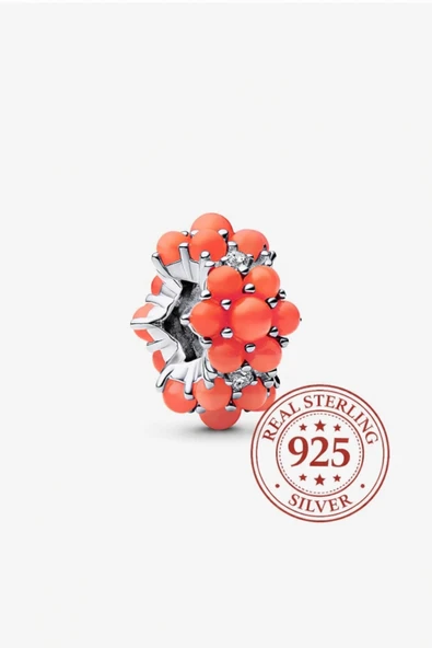 Hector&Co. Jewellery S925 Mercan Renkli Okyanus Charm ürün görseli 1