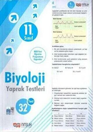 Nitelik Yayınları Yaprak Test 11. Sınıf Biyoloji ürün görseli 1