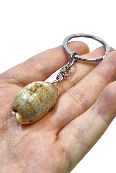 Deniz Kabuğu Anahtarlık Cowrie Shell 310 ürün görseli 1
