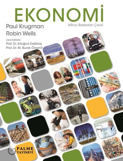 Palme Yayınevi Ekonomi (Krugman - Wels) ürün görseli 1