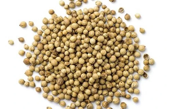 Kişniş Tane 200 Gr ürün görseli 1