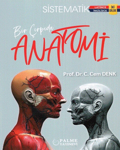 Palme Yayınevi Bir Çırpıda Sistematik Anatomi İki Dilde ürün görseli 1