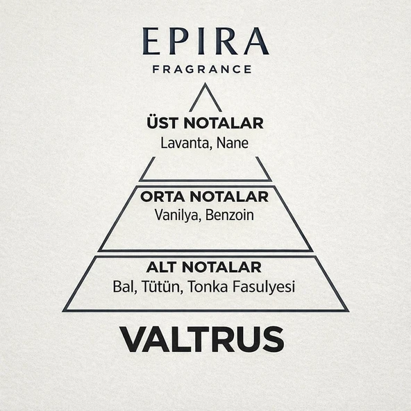 VALTRUS Erkek Parfüm 50 ml EDP - Resim 3