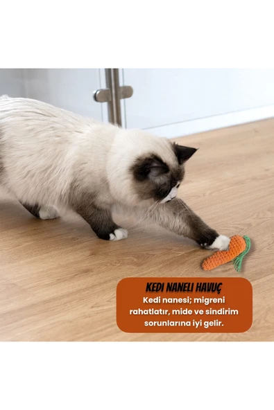 bite pet HAVUÇ ŞEKİLLİ KEDİ NANELİ OYUNCAK - Resim 2