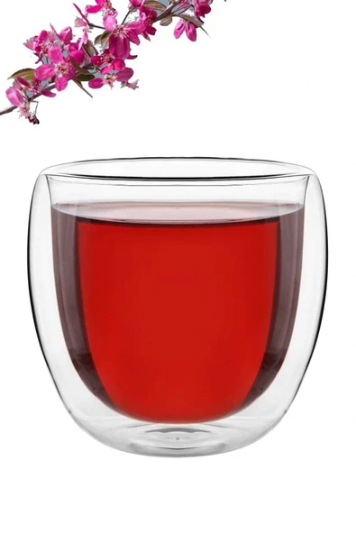 Borosilikat Çift Camlı Çift Cidarlı Bardak Meşrubat Bardağı Kupa Bardak 250ml ürün görseli 1
