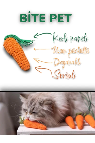 bite pet HAVUÇ ŞEKİLLİ KEDİ NANELİ OYUNCAK ürün görseli 1
