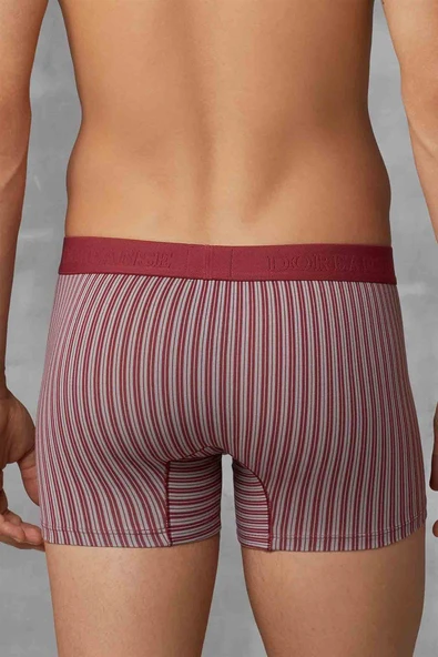 DORENSA ERKEK BOXER - Resim 2
