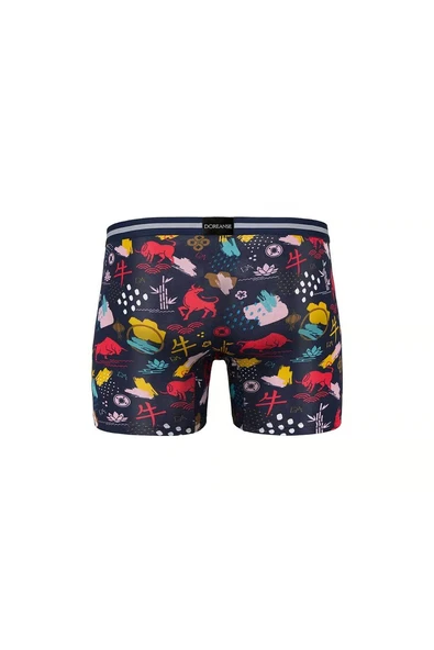 DORENSA ERKEK BOXER - Resim 3