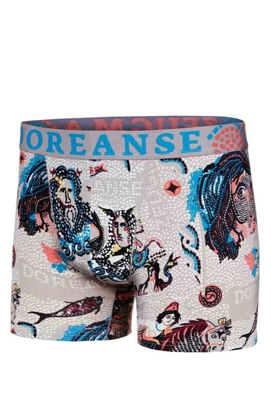 DORENSA ERKEK BOXER - Resim 2