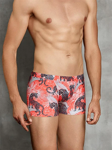 DOREANSE EXOTIGER ERKEK BOXER ürün görseli 1