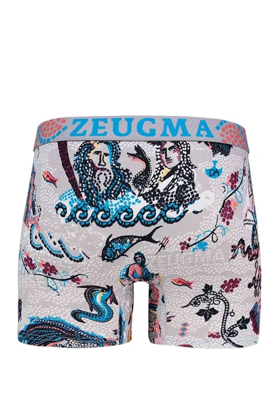 DORENSA ERKEK BOXER ürün görseli 1