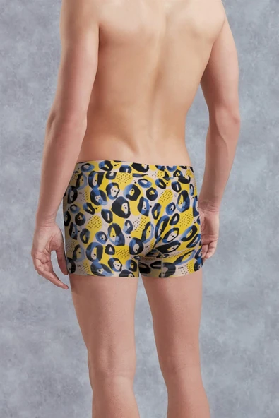 DOREANSE BLUE LEOPARD ERKEK BOXER - Resim 2