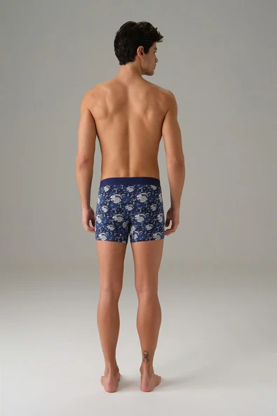 DOREANSE RABBIT ISLAND ERKEK BOXER - Resim 2