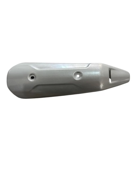 PTTAVM: TVS RAIDER 125 EGZOZ KORUMA ARKA N6050340