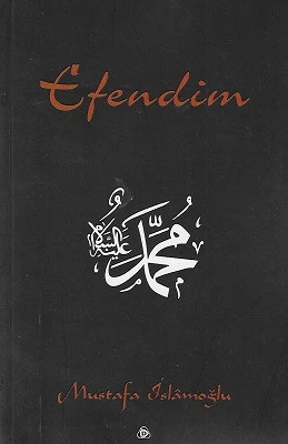Efendim Mustafa İslamoğlu Düşün Yayıncılık - YENİ KİTAP ürün görseli 1