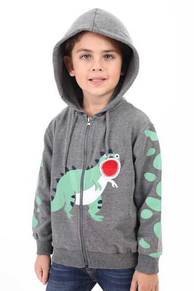 Toontoy Erkek Çocuk Kapüşonlu Fermuarlı Baskılı Örme Hırka - 2 İplik ürün görseli 1
