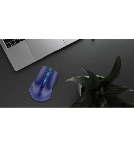 2.4 Ghz Wireless Mouse Mavi BWM5 ürün görseli 1