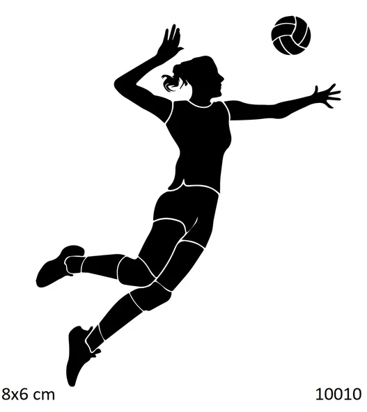 Voleybol Smaç Yapışkanlı Stencil Süsleme ve Boyama Kalıbı ürün görseli 1
