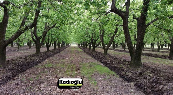 Kadıoğlu Eko Duyarga Taşıyıcı + Çapa Bıçağı + 4'lü Diskaro + Pulluk - Resim 5