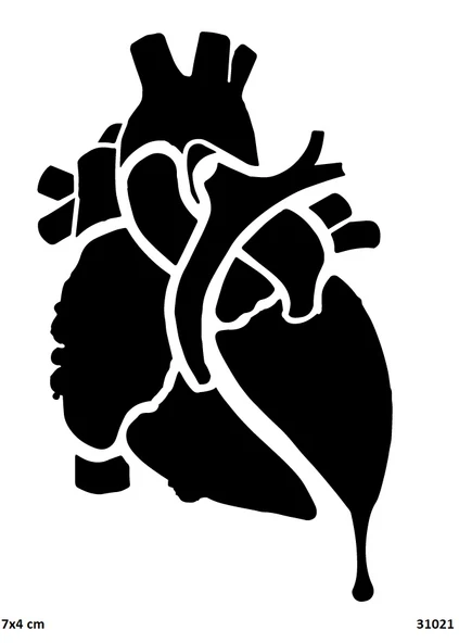 Kalp Organ Yapışkanlı Stencil Süsleme ve Boyama Kalıbı ürün görseli 1