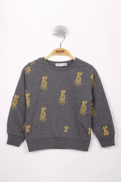 Toontoy Erkek Çocuk Relax Fit Bisiklet Yaka Baskılı Sweatshirt - 2 İplik ürün görseli 1