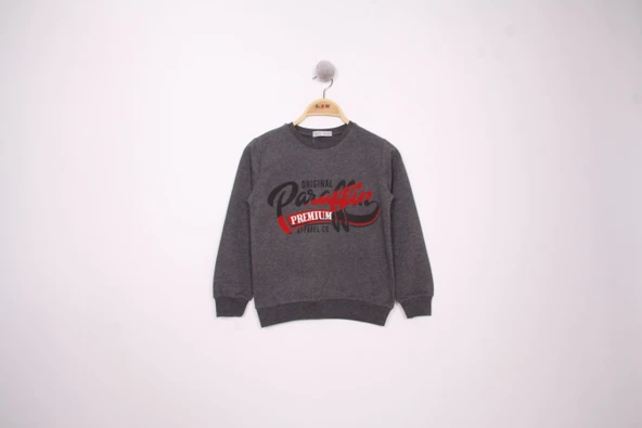 Toontoy Erkek Çocuk Relax Fit Bisiklet Yaka Baskılı Sweatshirt - 2 İplik ürün görseli 1