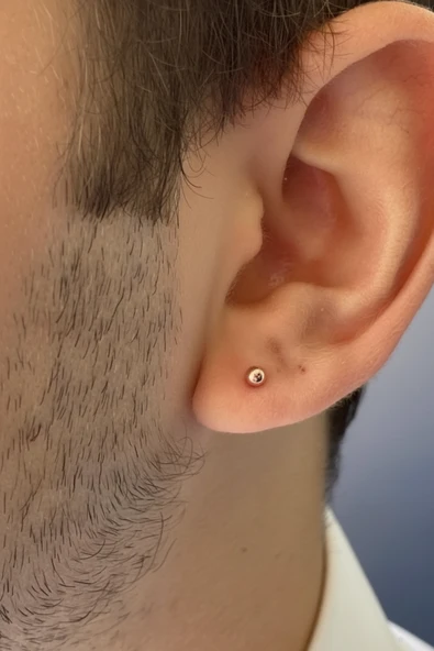 14 Ayar Altın Top Küpe - Resim 3