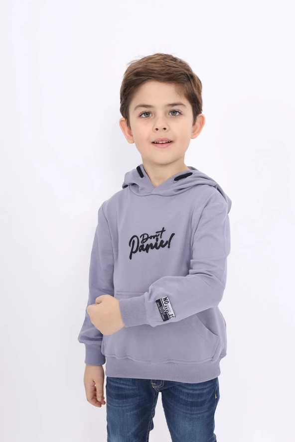 Toontoy Erkek Çocuk Relax Fit Kapüşonlu Cepli Nakış Baskılı Sweatshirt - 2 İplik ürün görseli 1