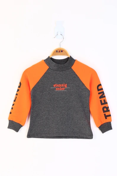 Toontoy Kız Çocuk Relax Fit Dik Yaka Reglan Kol Baskılı Sweatshirt - Renk Bloklu & 2 İplik ürün görseli 1