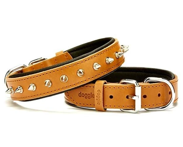 Doggie Comfort Deri Çivili Köpek Boyun Tasması Medium Camel 3x42-50 Cm ürün görseli 1